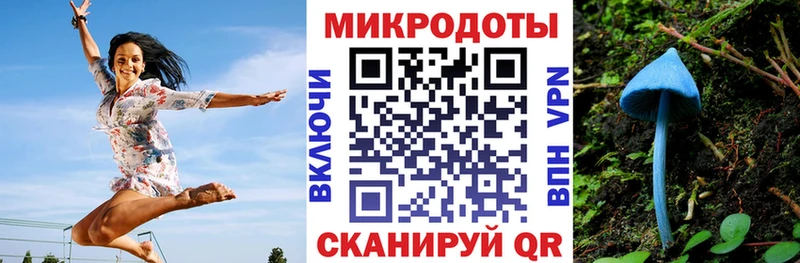 Псилоцибиновые грибы Cubensis Саров